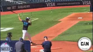 2025 Baseball Highlights - 2 MIN