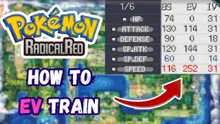 Easiest Way To EV Train In Pokemon Radical Red