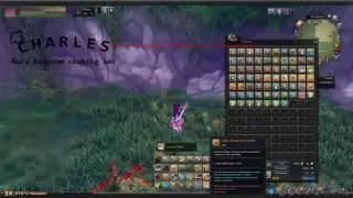 AURA KINGDOM BOT COCINA LVL 75