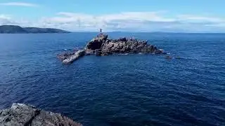 Scenes of Newfoundland - Summer Scenes 002