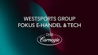 Wesports Group - Fokus e-handel & tech