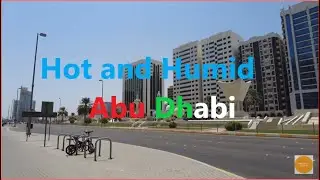 Sheikh Rashid bin Saeed, Hamdan Sultan bin Zayed the first Street@BWBeautifulworldTV
