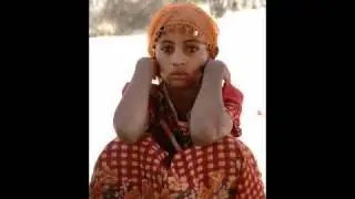 Tuaregs 9% of Berbers genes