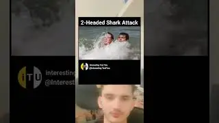 2-Headed Shark Attack is a Masterpiece (Of Trash)