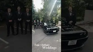 American Muscle Wedding Car Rental @starcarhire www starcarhire co uk #dodgechallenger #starcarhire