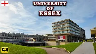 University of Essex Colchester Campus Tour Christmas Trail