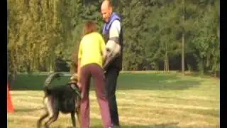 Obrana Zby&scaron;ek Gorecki  a Jarek Fančo