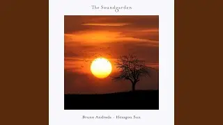 Hexagon Sun