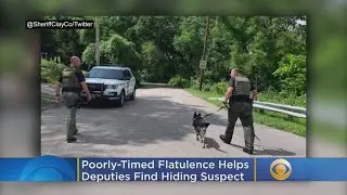 Poorly-Timed Flatulence Helps Deputies Sniff Out Suspect Hiding From Arrest