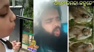 ଇସ୍🙉🙈🙊//Prem Ananda Mishra