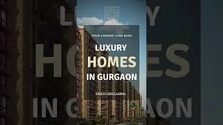 Real Estate Insights: Your Guide to Property Success