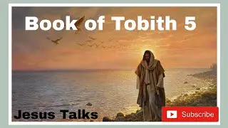 Hindi Bible Reflection ll Book of Tobith 5