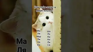 лучшим поставлю лайки! #2024 #tiktok #котики #имена#тикток