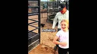 🐶😂 Il Cagnolino Ha Vinto Senza Nemmeno Saltare!