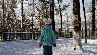 #хранители птиц, #эковики