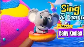 Sing & Learn About Baby Koalas ! - Educational Music video for Kids -