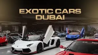 Welcome to the Kingdom of Supercars  | Exotic Cars Dubai | 4k Cinematic
