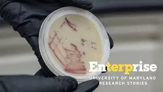 Keeping Maryland&rsquo;s Water Safe | Enterprise Research Stories