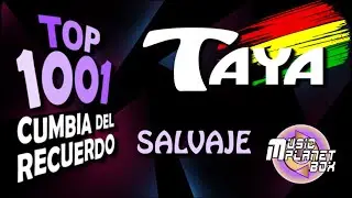 TAYA - SALVAJE - Cumbia Boliviana del Recuerdo