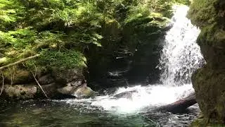 Video of Verlot Campground, WA from Josiah P.
