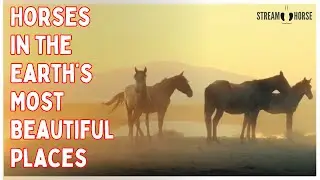 Horses Moving Through the Earth’s Most Beautiful Places