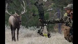 Bowhunting Montana Elk - Close Encounters | Pure Hunting S10 E6