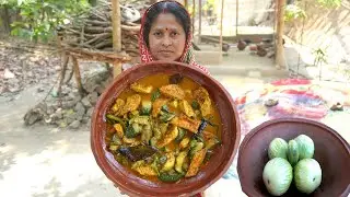 বেগুন দিয়ে ডিমের ঝোল | China Begun diye dimer jhol recipe in village style | Brinjal egg curry