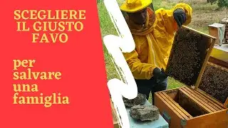 La famiglia è orfana bisogna intervenire!