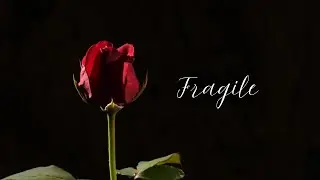 Fragile - Hope Mkhway (cover)