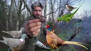 اسهل طريقة صنع فخ لصيد للطيور 🦜🕊🐓🦃🐦