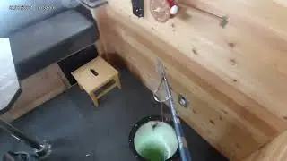Perch Caught on Red Lake w/ Rod Camera
