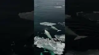 What did NASA find in the ocean?