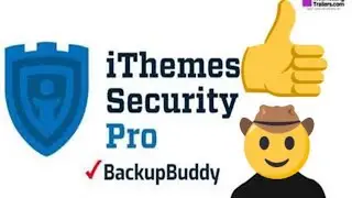 iThemes | BackupBuddy Details
