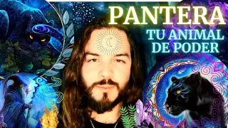 Animal de Poder Pantera y su significado espiritual