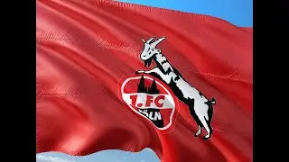 Stadion-Ausbau ad&eacute;?! Neubau?! Soll sich der 1. FC K&ouml;ln von der Stadt endlich 