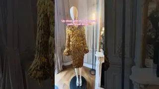 Showing you the Schiaparelli spring 2026 dress made of paintbrushes #fashion #art #schiaparelli