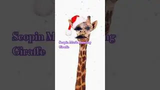 Scopin Music l Dancing Giraffe l Fun #trendingnow #trending #funny #shorts