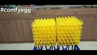 Comfy Egg Transportation Cage #Eggshifting #Eggtransportbox #Eggbox #Eggcage #comfy