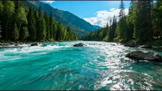 Best River Sound Stream for Relaxation | Meditation | Stress & Anxiety Relief | Deep Sleep