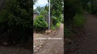 Terreno en Zacatecoluca, 24x12m, informaci&oacute;n +(503)7045-3157