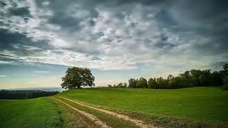 Tree Clouds & Greenery | Free stock footage | #royaltyfreefootage #nocopyright #copyrightfree