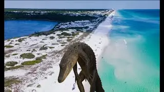 Florida Gator Rampage | Meth Gator