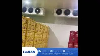 Cold Storage Project