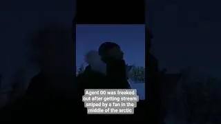 #agent was freaked out after getting stream sniped by a fan during his 24hours stream in the arctic