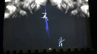Guitar Solo, Aerial Silk 