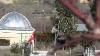 Şeyhömerli Köyü