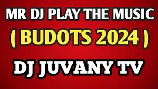 MR DJ PLAY THE MUSIC ( REMIX )