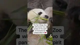 Two giant pandas are coming to California! In a move of panda diplomacy