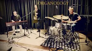 Tourne Autour - Organology Davot/Jung/Prud'homme