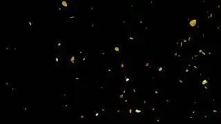 Flower Petals Floating Transparent - Moving background